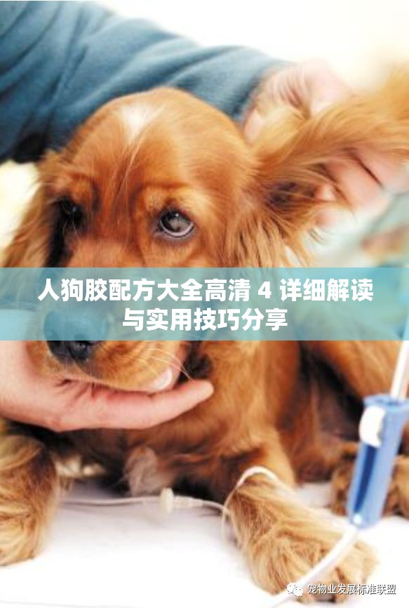 人狗膠配方大全高清 4 詳細(xì)解讀與實用技巧分享