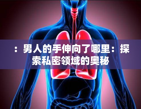 ：男人的手伸向了哪里：探索私密領(lǐng)域的奧秘