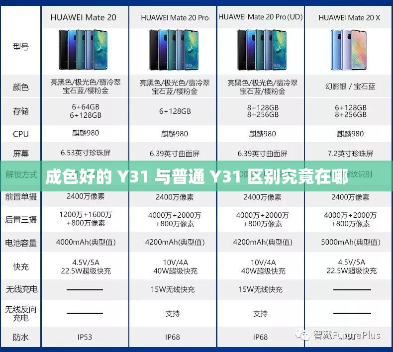成色好的 Y31 與普通 Y31 區(qū)別究竟在哪