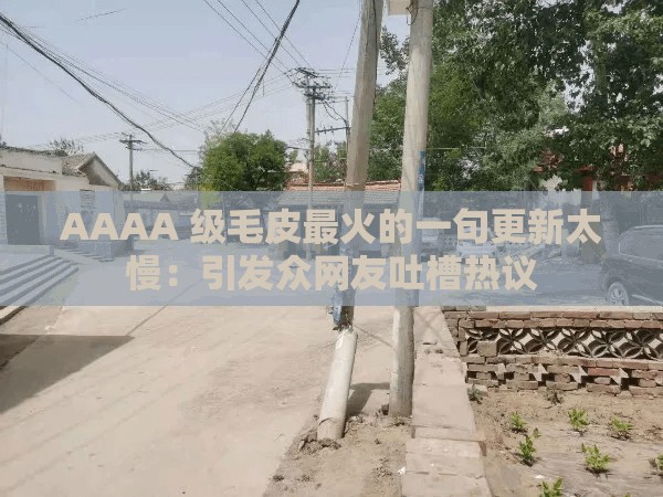 AAAA 級毛皮最火的一句更新太慢：引發(fā)眾網(wǎng)友吐槽熱議