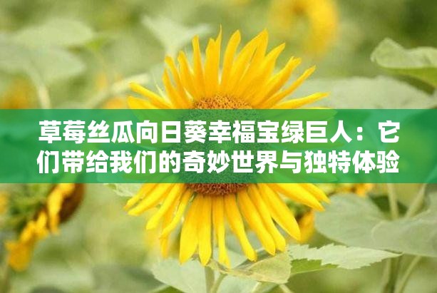 草莓絲瓜向日葵幸福寶綠巨人：它們帶給我們的奇妙世界與獨特體驗