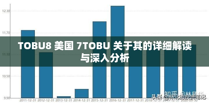 TOBU8 美國 7TOBU 關于其的詳細解讀與深入分析