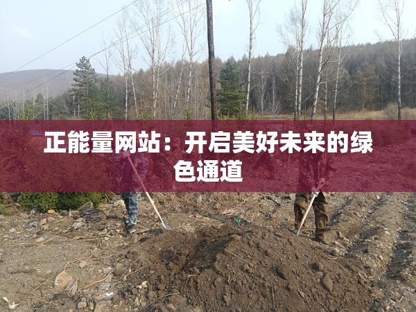正能量網(wǎng)站：開啟美好未來(lái)的綠色通道