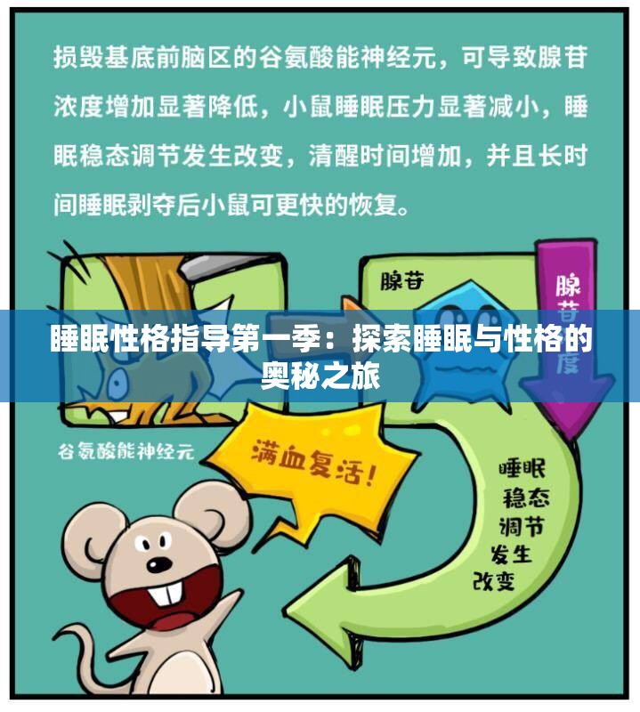 睡眠性格指導(dǎo)第一季：探索睡眠與性格的奧秘之旅