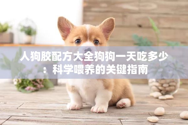人狗膠配方大全狗狗一天吃多少：科學(xué)喂養(yǎng)的關(guān)鍵指南