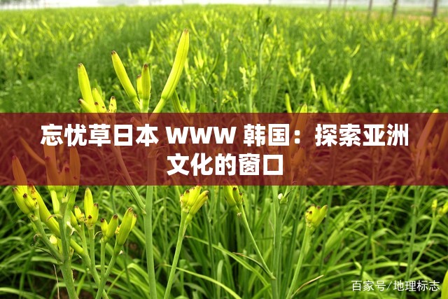 忘憂草日本 WWW 韓國：探索亞洲文化的窗口