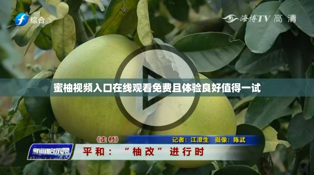 蜜柚視頻入口在線觀看免費(fèi)且體驗(yàn)良好值得一試
