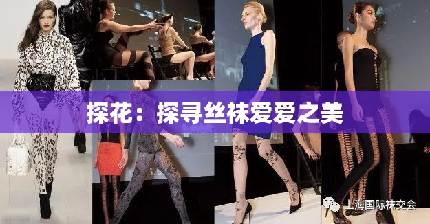 探花：探尋絲襪愛愛之美