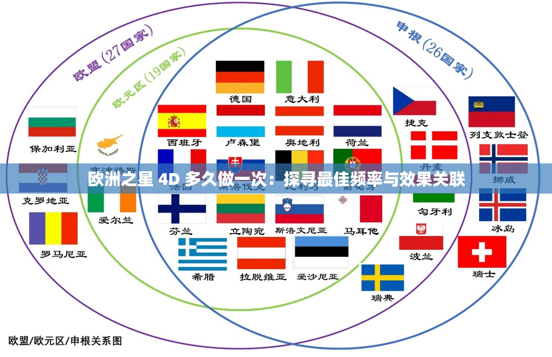 歐洲之星 4D 多久做一次：探尋最佳頻率與效果關(guān)聯(lián)