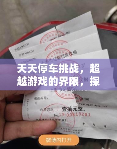 天天停車挑戰(zhàn)，超越游戲的界限，探索生活中的停車藝術(shù)與技巧