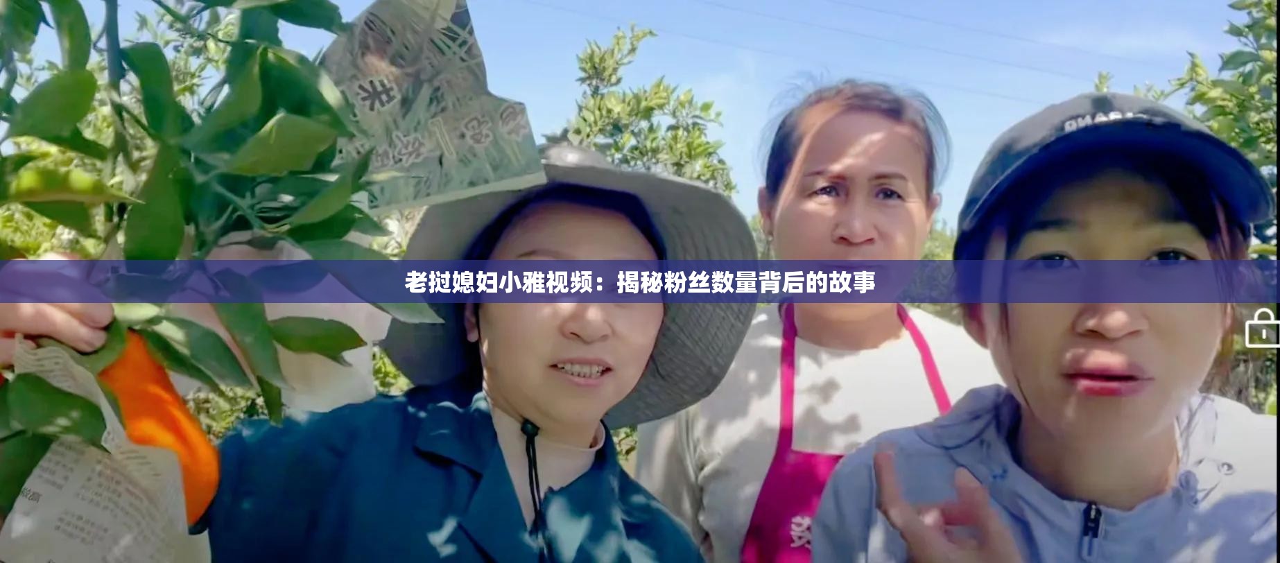 老撾媳婦小雅視頻：揭秘粉絲數(shù)量背后的故事