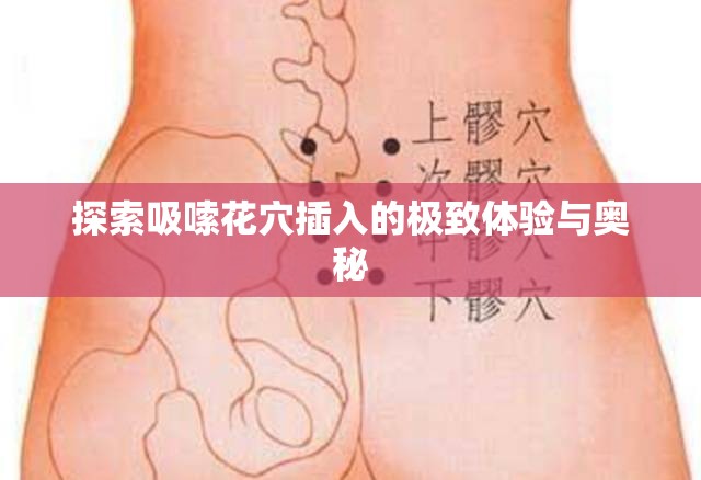 探索吸嗦花穴插入的極致體驗與奧秘