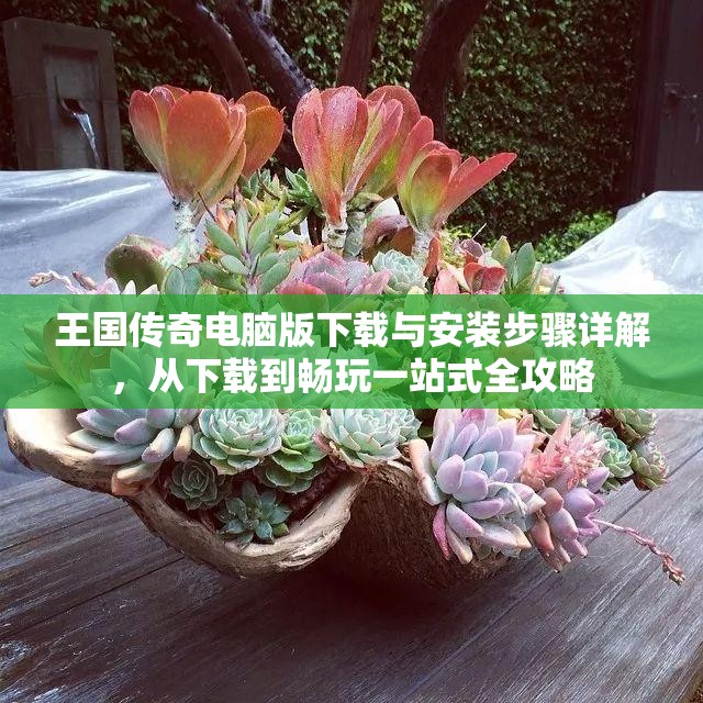 王國傳奇電腦版下載與安裝步驟詳解，從下載到暢玩一站式全攻略
