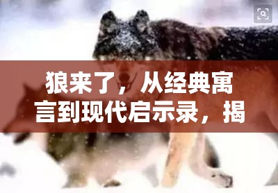 狼來了，從經(jīng)典寓言到現(xiàn)代啟示錄，揭示誠信與責任的重要性
