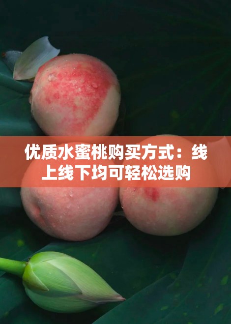 優(yōu)質(zhì)水蜜桃購買方式：線上線下均可輕松選購