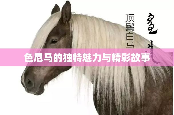 色尼馬的獨特魅力與精彩故事