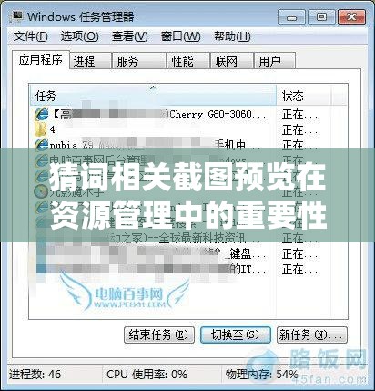 猜詞相關(guān)截圖預(yù)覽在資源管理中的重要性及其高效利用策略探討