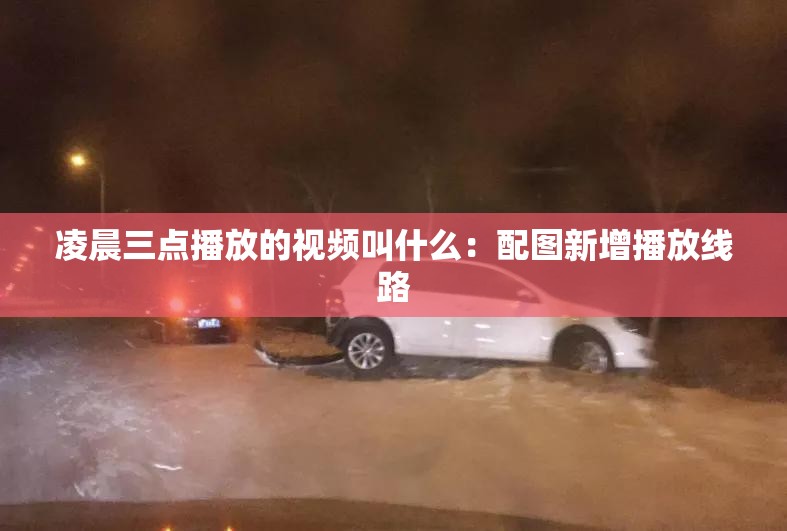 凌晨三點(diǎn)播放的視頻叫什么：配圖新增播放線路