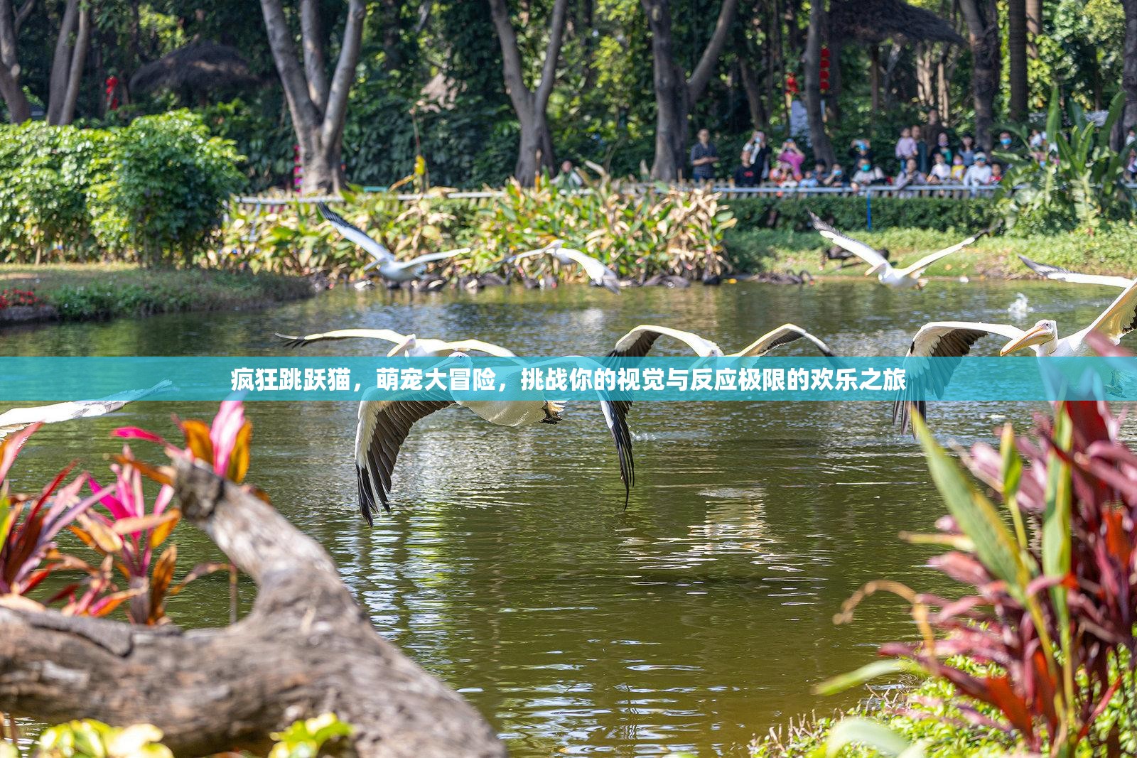 瘋狂跳躍貓，萌寵大冒險(xiǎn)，挑戰(zhàn)你的視覺與反應(yīng)極限的歡樂之旅
