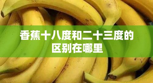 香蕉十八度和二十三度的區(qū)別在哪里