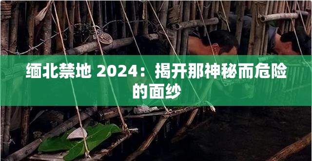 緬北禁地 2024：揭開(kāi)那神秘而危險(xiǎn)的面紗