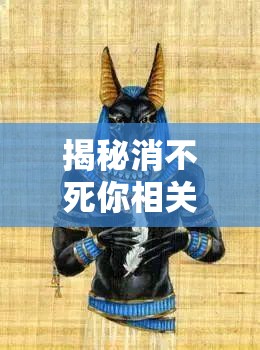 揭秘消不死你相關(guān)截圖預(yù)覽，掌握資源管理的高效藝術(shù)與技巧