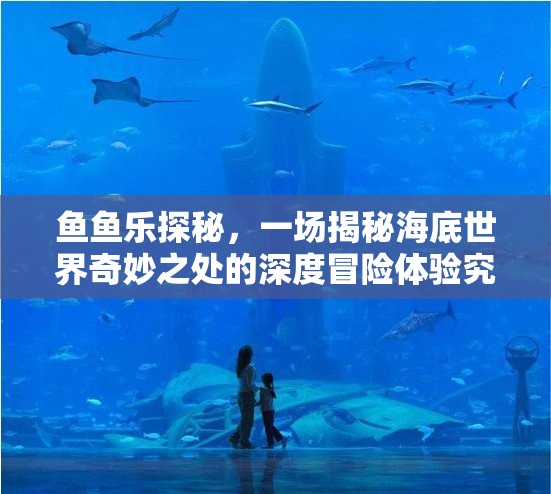 魚(yú)魚(yú)樂(lè)探秘，一場(chǎng)揭秘海底世界奇妙之處的深度冒險(xiǎn)體驗(yàn)究竟有何魅力？