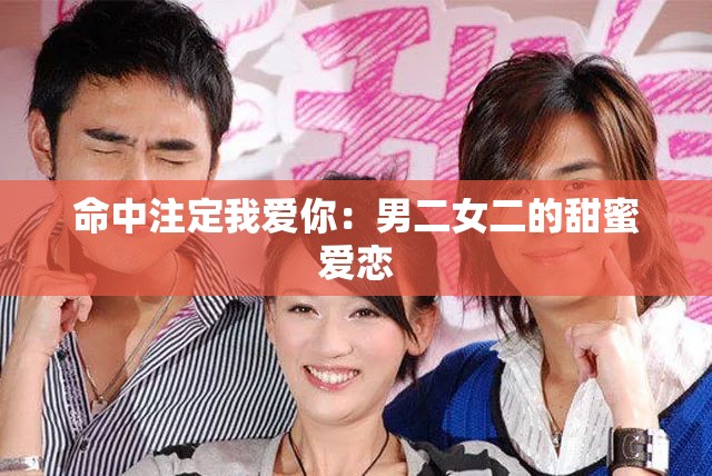 命中注定我愛你：男二女二的甜蜜愛戀