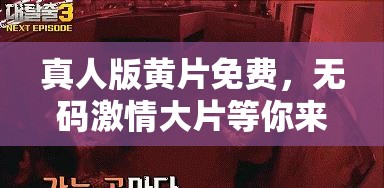 真人版黃片免費，無碼激情大片等你來看