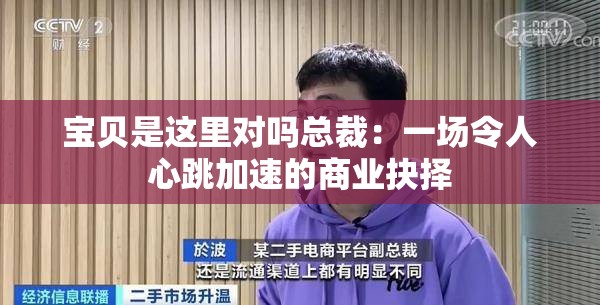 寶貝是這里對(duì)嗎總裁：一場(chǎng)令人心跳加速的商業(yè)抉擇