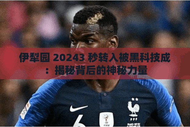 伊犁園 20243 秒轉(zhuǎn)入被黑科技成：揭秘背后的神秘力量