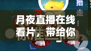 月夜直播在線看片，帶給你不一樣的視覺(jué)體驗(yàn)