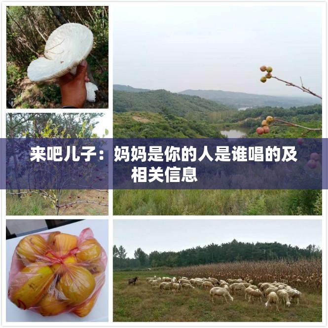 來吧兒子：媽媽是你的人是誰唱的及相關(guān)信息