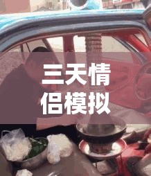 三天情侶模擬器，在截圖預(yù)覽中探索甜蜜與驚喜的虛擬戀愛冒險
