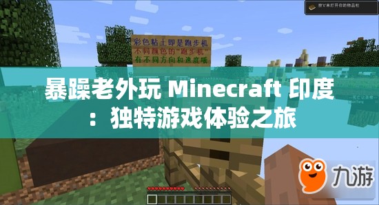 暴躁老外玩 Minecraft 印度：獨(dú)特游戲體驗(yàn)之旅