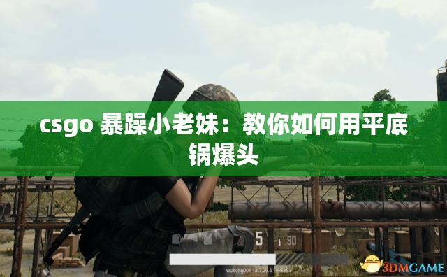 csgo 暴躁小老妹：教你如何用平底鍋爆頭