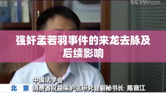 強(qiáng)奸孟若羽事件的來(lái)龍去脈及后續(xù)影響