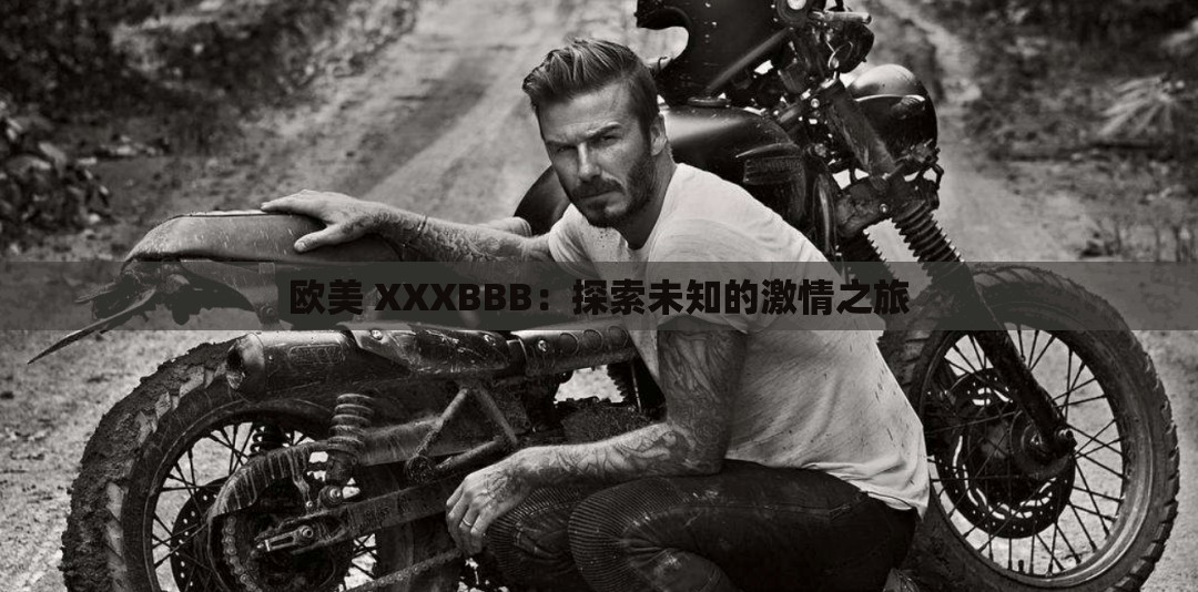 歐美 XXXBBB：探索未知的激情之旅