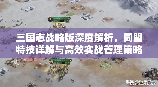 三國志戰(zhàn)略版深度解析，同盟特技詳解與高效實戰(zhàn)管理策略