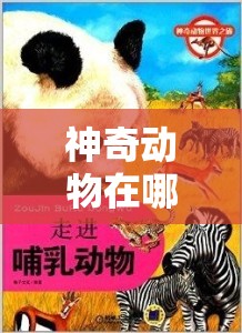 神奇動物在哪里：ZOOM 動物的奇妙世界