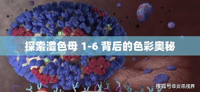 探索澧色母 1-6 背后的色彩奧秘