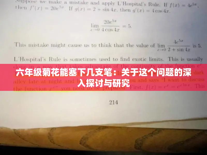 六年級(jí)菊花能塞下幾支筆：關(guān)于這個(gè)問題的深入探討與研究
