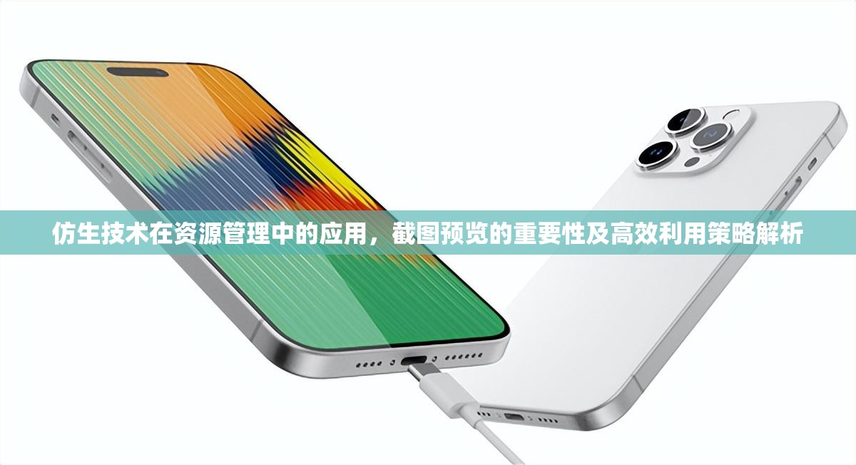 仿生技術(shù)在資源管理中的應(yīng)用，截圖預(yù)覽的重要性及高效利用策略解析