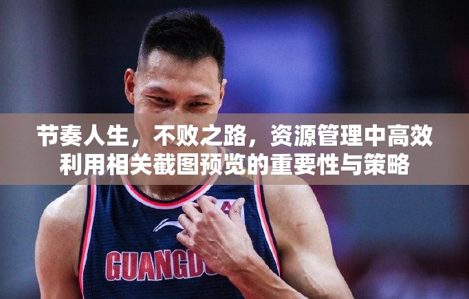 節(jié)奏人生，不敗之路，資源管理中高效利用相關(guān)截圖預覽的重要性與策略