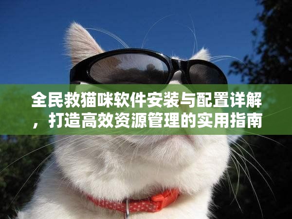 全民救貓咪軟件安裝與配置詳解，打造高效資源管理的實(shí)用指南