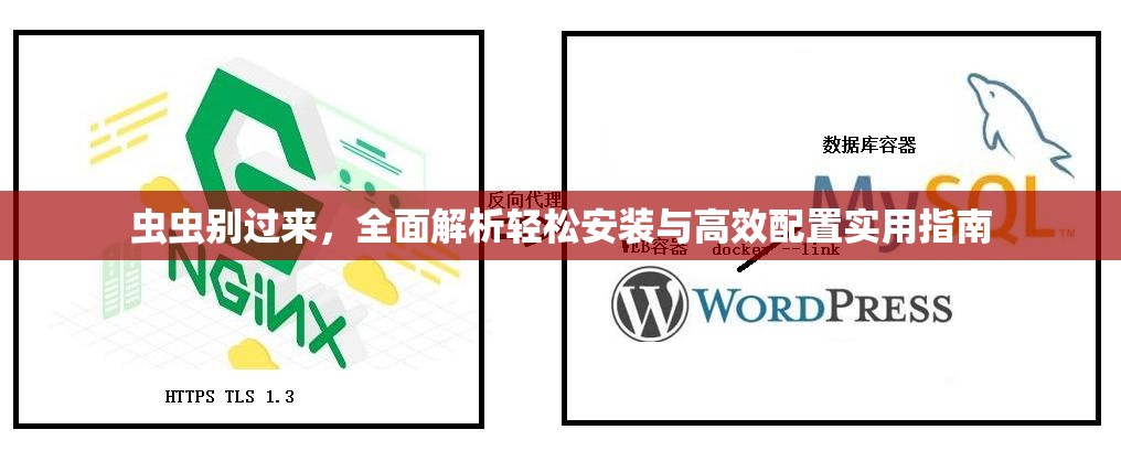 蟲蟲別過(guò)來(lái)，全面解析輕松安裝與高效配置實(shí)用指南