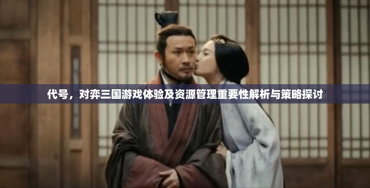 代號(hào)，對(duì)弈三國(guó)游戲體驗(yàn)及資源管理重要性解析與策略探討
