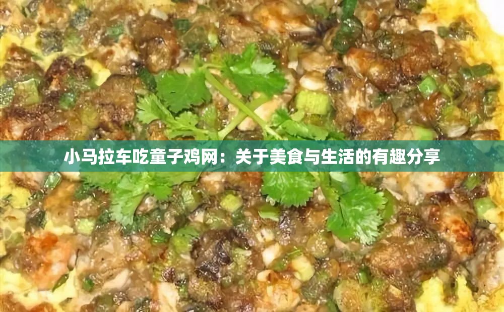 小馬拉車吃童子雞網(wǎng)：關(guān)于美食與生活的有趣分享