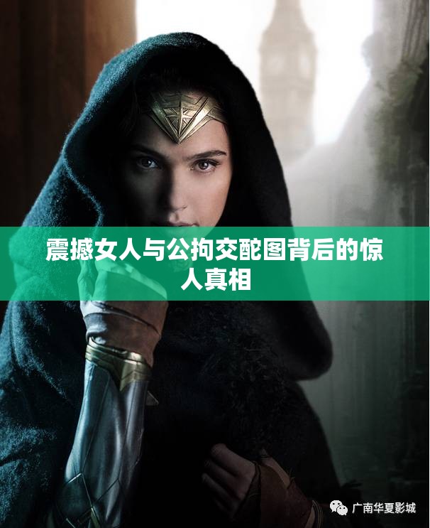 震撼女人與公拘交酡圖背后的驚人真相