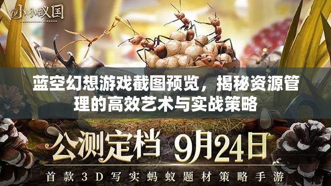 藍空幻想游戲截圖預覽，揭秘資源管理的高效藝術(shù)與實戰(zhàn)策略